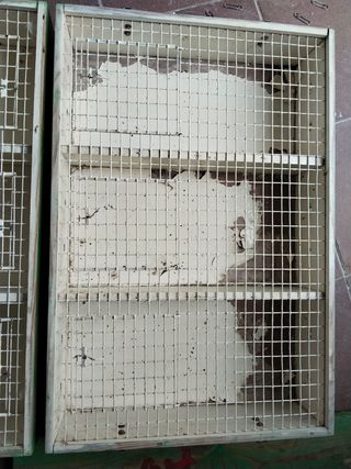 Transportín aves