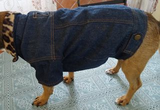 giacchetta jeans  per cane tg medio-piccola