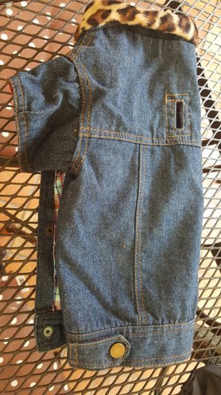 giacchetta jeans  per cane tg medio-piccola