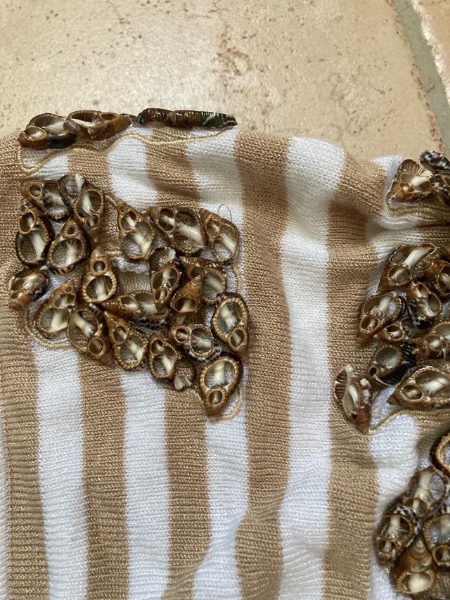 Maglia donna conchiglie