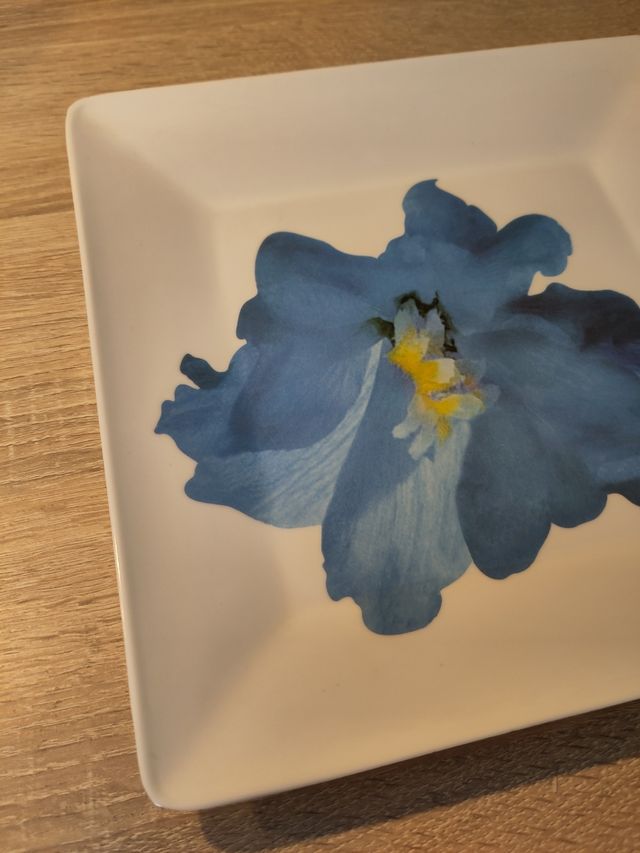 Bandeja Cuadrada de Plástico