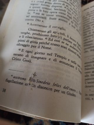 Gli atti degli Apostoli - Carlo de Ambrogio