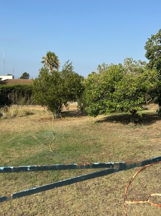 Mantenimiento de Jardines