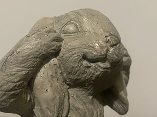 Rabbit don’t hear coniglio non ascoltare