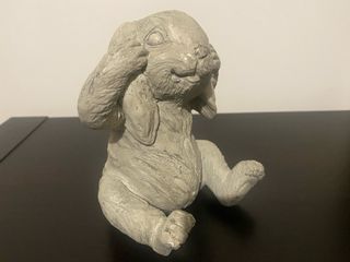 Rabbit don’t hear coniglio non ascoltare