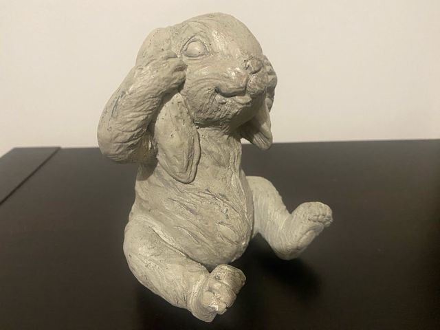 Rabbit don’t hear coniglio non ascoltare