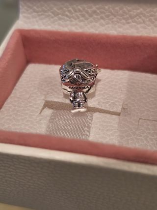 Charm Pandora, roquero 