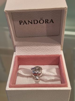 Charm Pandora, roquero 