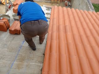 Cubiertas y tejas TLF.651429938
