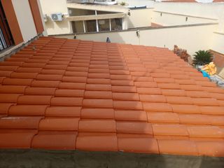 Cubiertas y tejas TLF.651429938