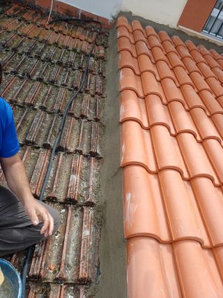 Cubiertas y tejas TLF.651429938