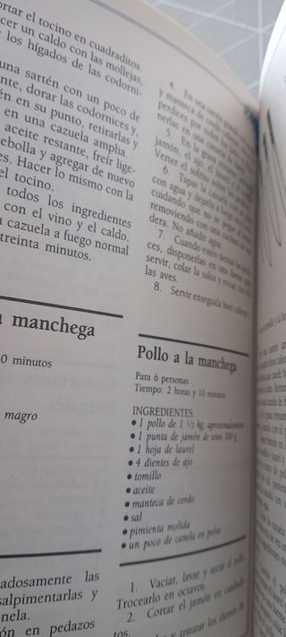 Libro cocina española