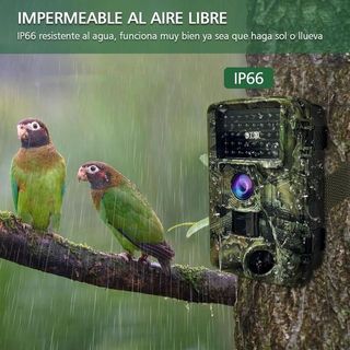 *Cámara silvestre 32GB*