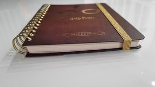 Quaderno Harry Potter Agenda Erik HP Golden Snitch