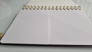 Quaderno Harry Potter Agenda Erik HP Golden Snitch