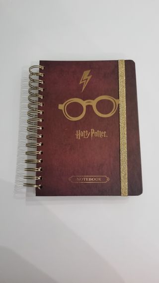 Quaderno Harry Potter Agenda Erik HP Golden Snitch