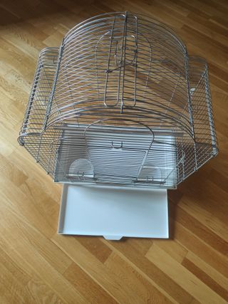 Jaula Loros, Ninfas, etc