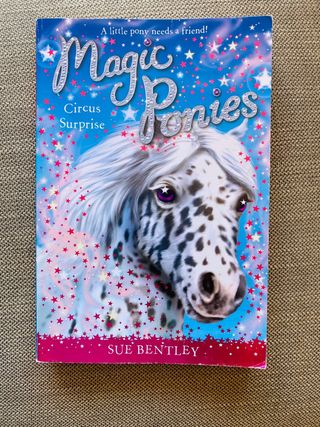 English reading book / Libro de lectura en ingles