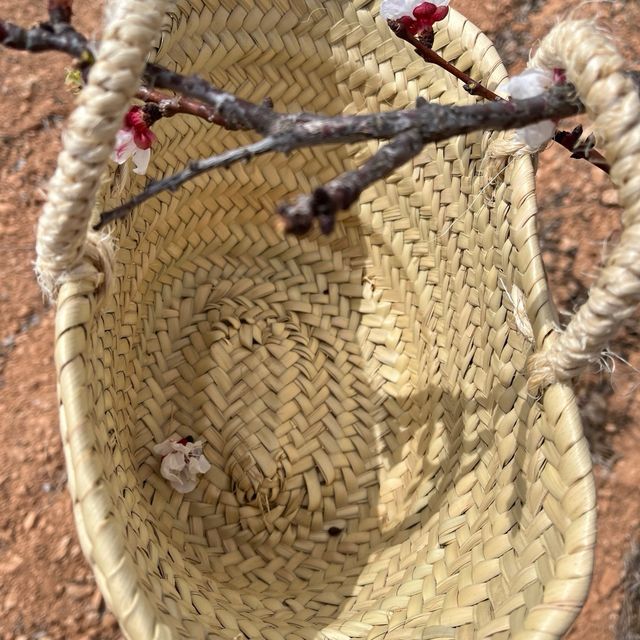 Cesta para comunión de palma