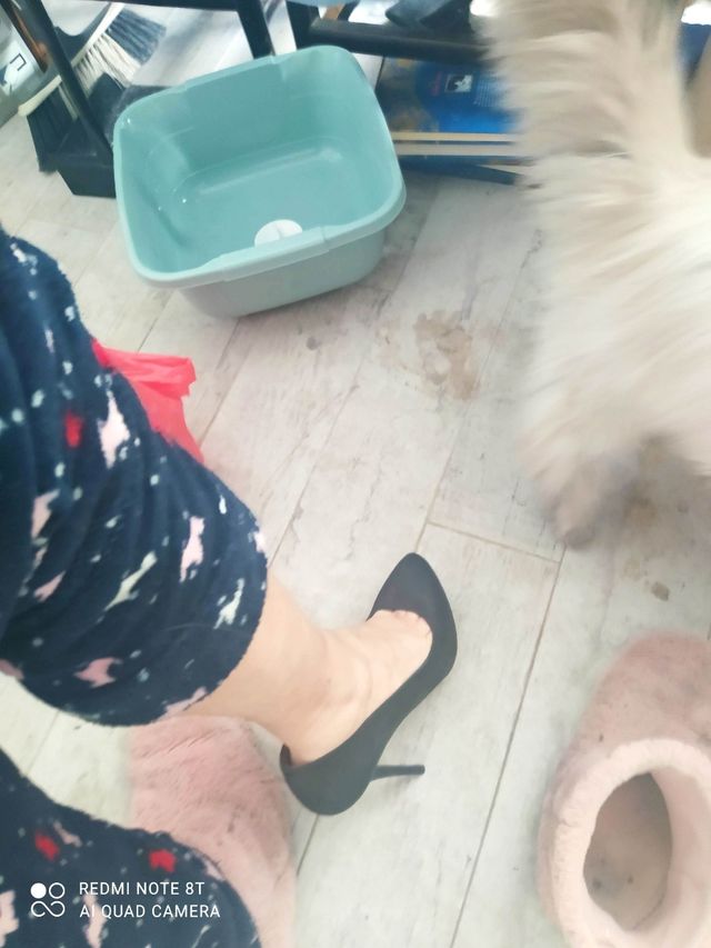 Zapatos de tacón alto, Zara T.41