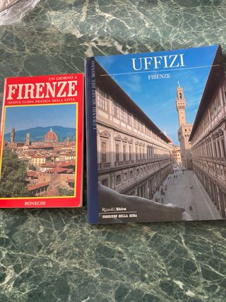 Firenze - Guida della citta’ / Uffizi