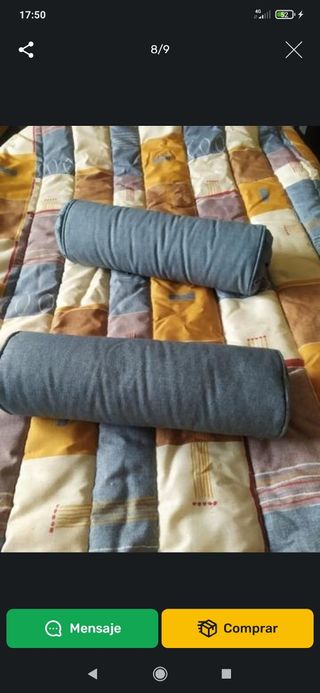 3  EDREDONES  INVIERNO  BUENOS
