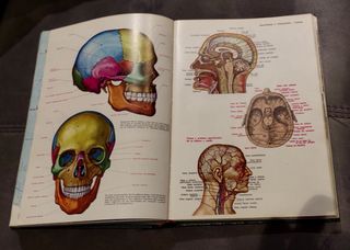 Enciclopedia Deportes y Diccionario SOPENA