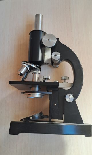Microscopio Antiguo Will-Optik Wetzlar