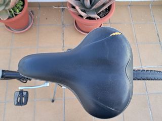 Bicicleta de Paseo Conor