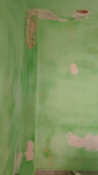 Pintor Profesional Económico