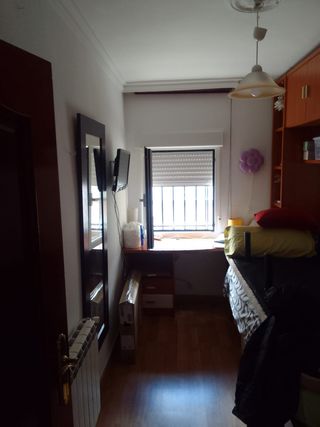 Pintor Profesional Económico