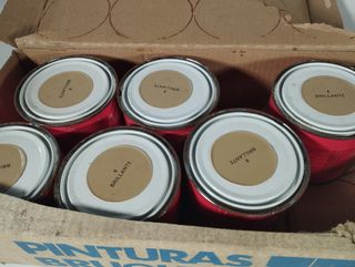 Caja de Pintura esmalte en liquidación 