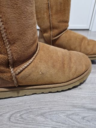 Botas UGG
