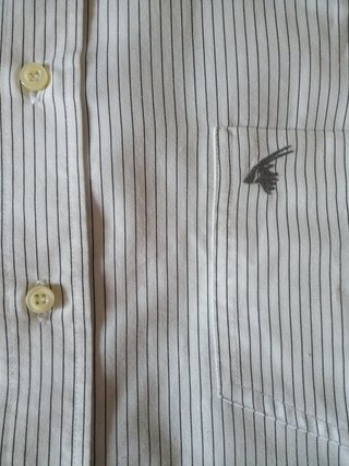 camisa de rayas Caravaggio Cool