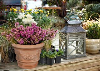 Elegante Vaso in Terracotta Toscana - Autentico Ar