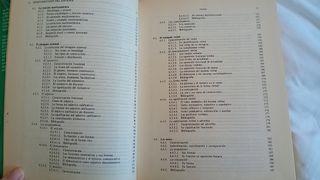 Lengua española/ Manual de pronunciacion