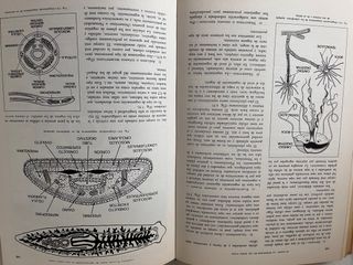 ELEMENTOS DE BIOLOGIA