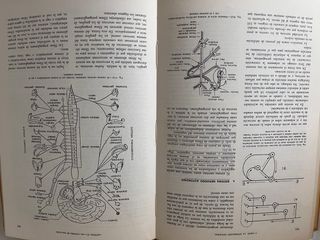 ELEMENTOS DE BIOLOGIA