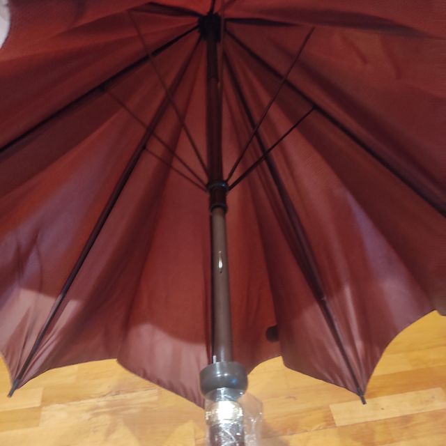 Paraguas estiloso Aramis