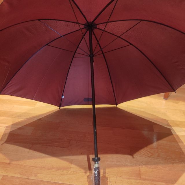 Paraguas estiloso Aramis