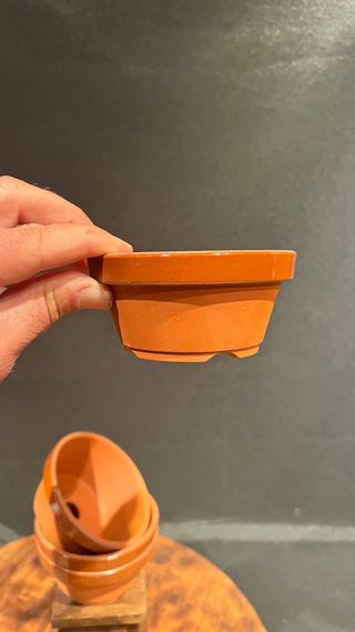 MACETA BONSAI ENTRENO TOKONAME”Nº 3,5