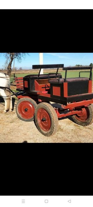 CARRO DE CABALLOS 