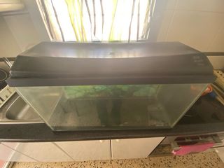 Acuario-Terrario 70 litros