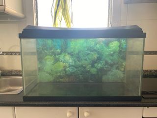 Acuario-Terrario 70 litros