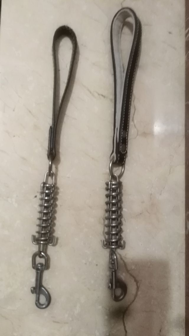 Correa para perro con amortiguador