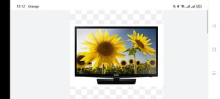 TV