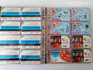 Schede telefoniche collezione 