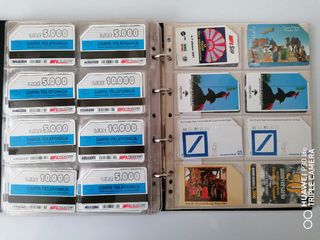 Schede telefoniche collezione 