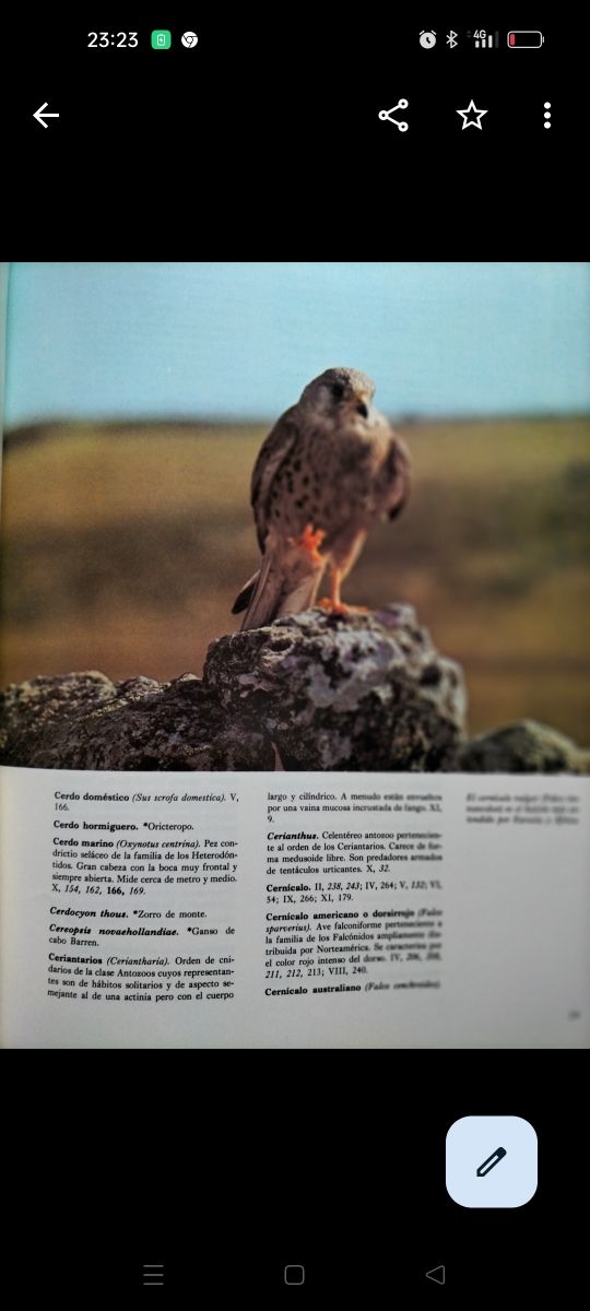  Fauna Felix Rodríguez de la Fuente 