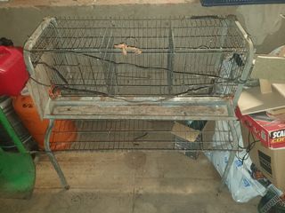 Jaula gallinas
